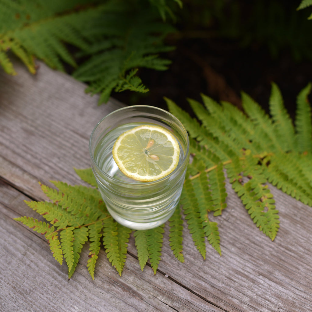 Riflessi 10.25 oz. Water Drinking Glasses (Set of 6)