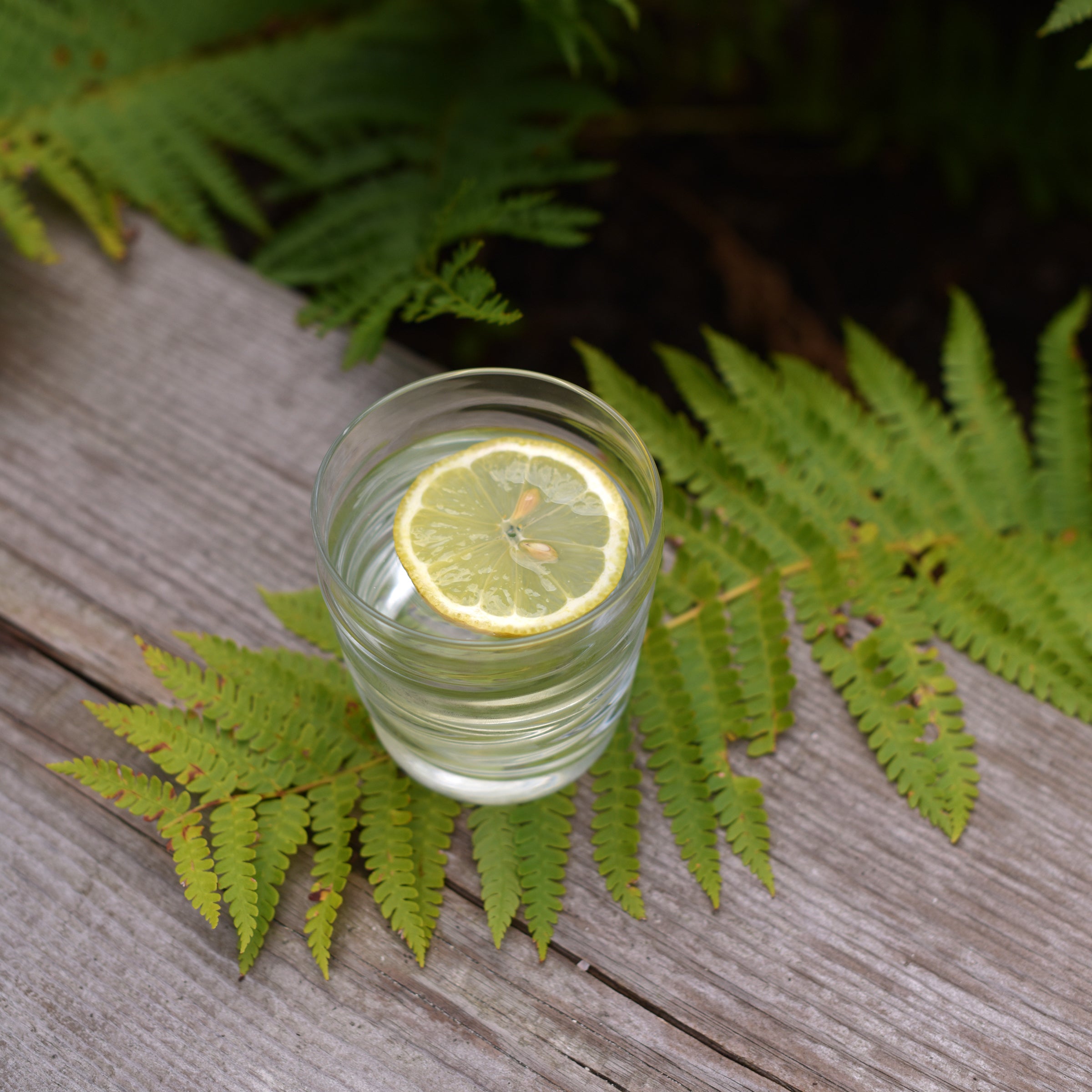 Riflessi 10.25 oz. Water Drinking Glasses (Set of 6)