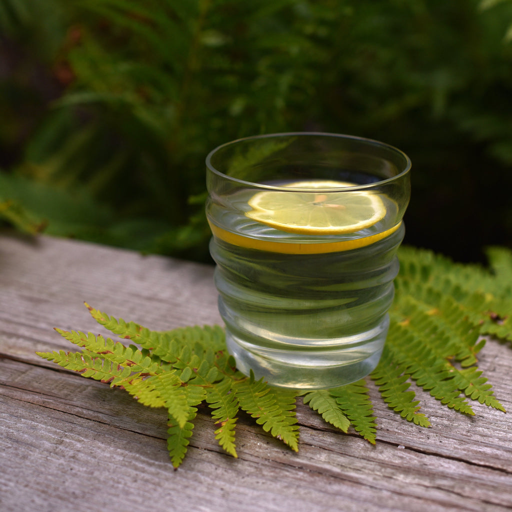 Riflessi 10.25 oz. Water Drinking Glasses (Set of 6)